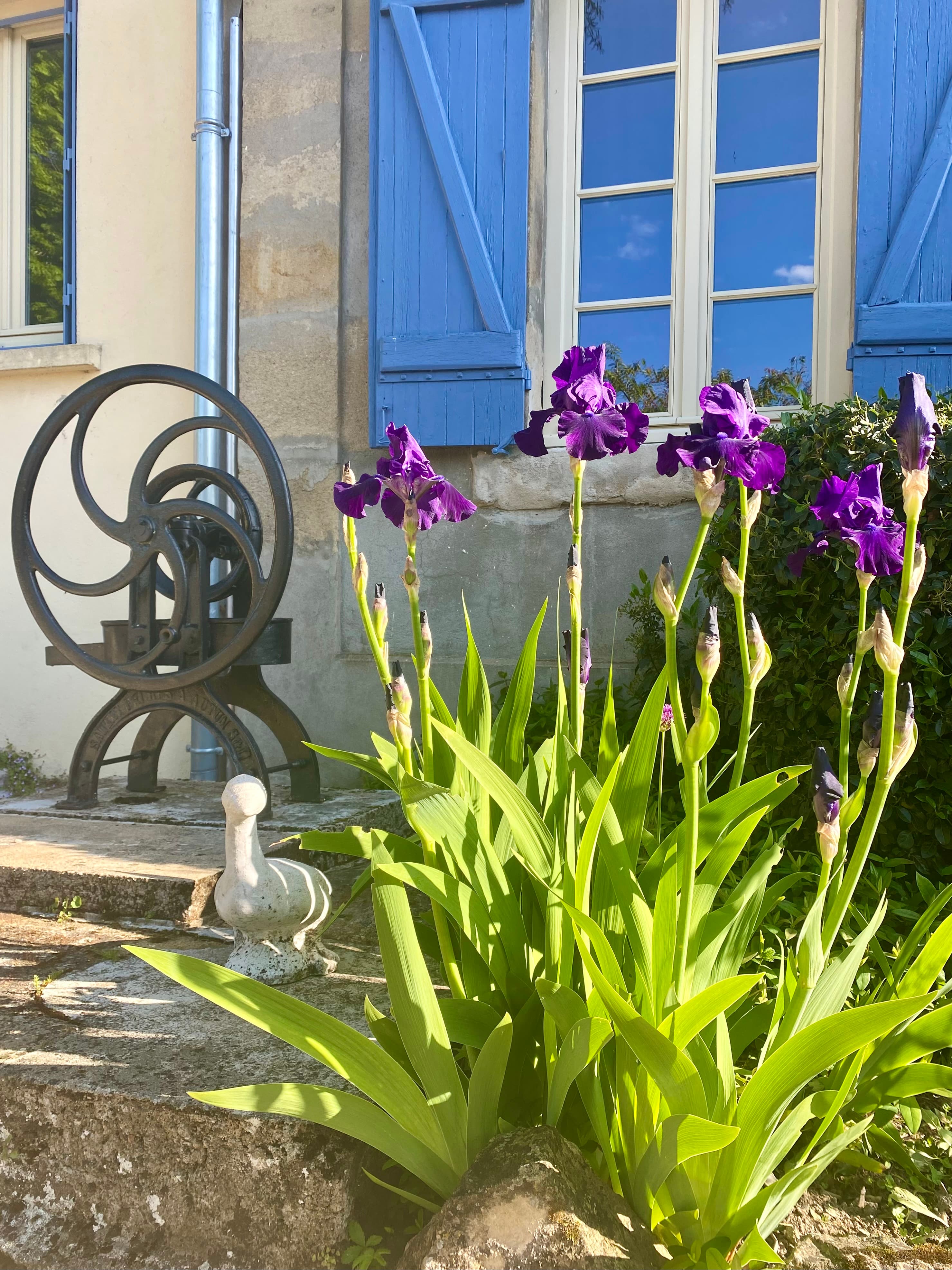 Spring & Autumn package