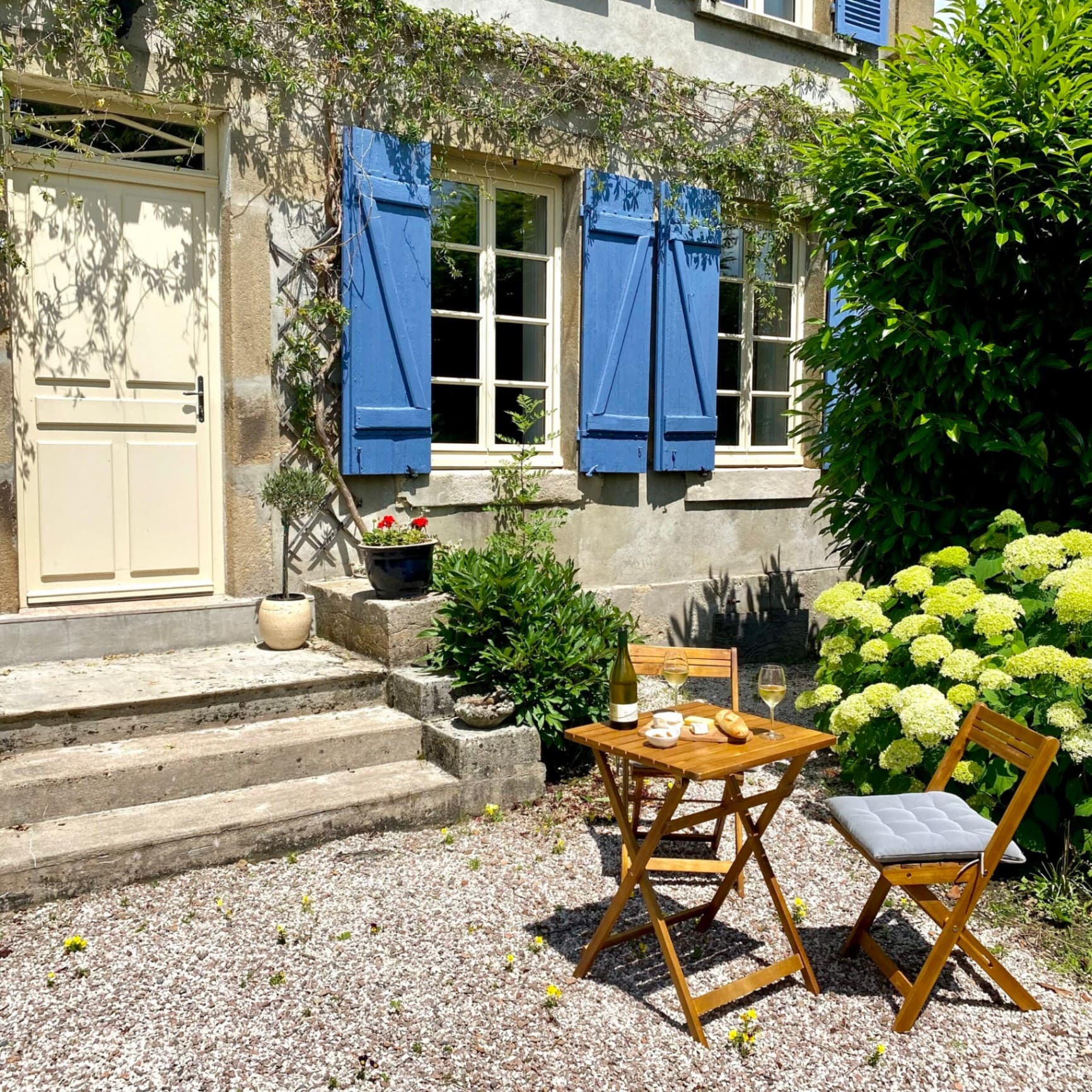 Bourgondische wijngaard